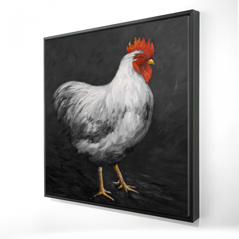 "Coq gris 2"