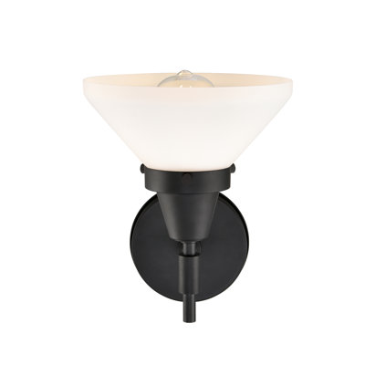 Amede Steel Armed Sconce