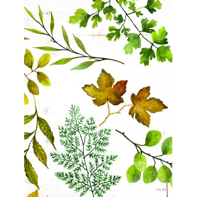 " Leaf Patterns II "