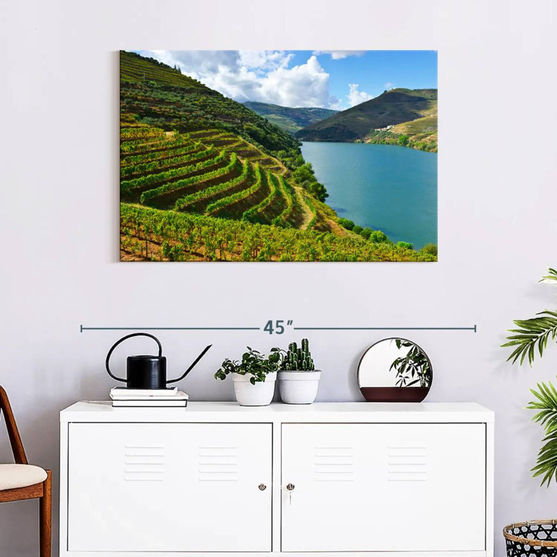 Douro, vallée de la vigne, H 24 po x l 36 po