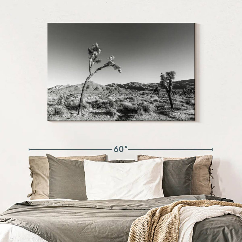 Harnek Joshua Tree National Park, monochrome, H 32 po x l 48 po
