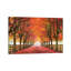 North Bend Trees by Aaron Reed - Print on Canvas-1231205245-1219174521