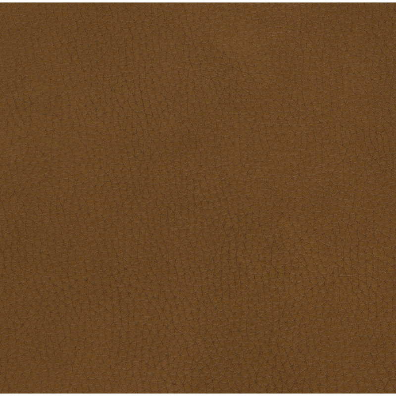 Fauteuil inclinable électrique en cuir véritable Kondzha, Brun