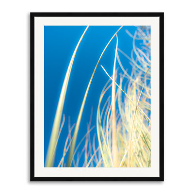 Dune Grasses Print by Petra Trimmel