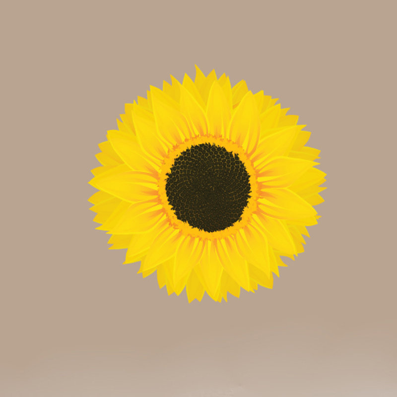 Décalcomanie murale imprimée tournesol, H 12 po x l 12 po