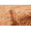 Tapis beige Peshawar Ziegler 6 pi 0 po x 8 pi 3 po
