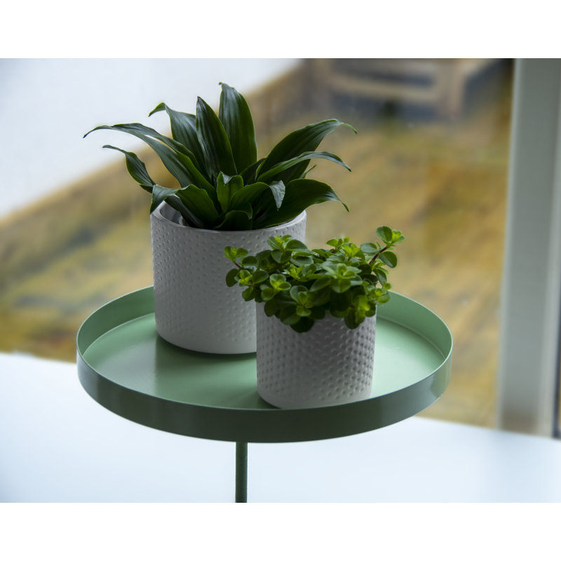 Windowsill Clamp, 24.6cm H x 24cm W x 24cm D, Green