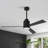 Karlena 52‘’ Dimmable Ceiling Fan with Lights and Remote Control Reversible DC Motor 6 Speed Timer for Medium Rooms-825308587