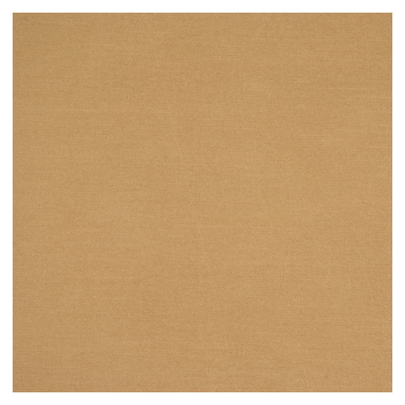 Tissu Gleam, Chamois