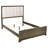 Upholstered Queen Panel Bed-312779813