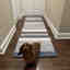 Customer photo 2 of 3