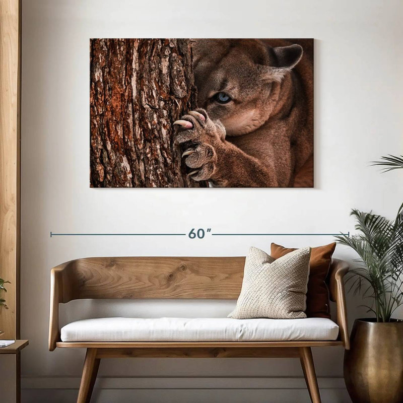Brampt Peaking Young Cougar, 30" H x 45" W
