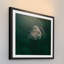 Single Picture Frame Print-18320502