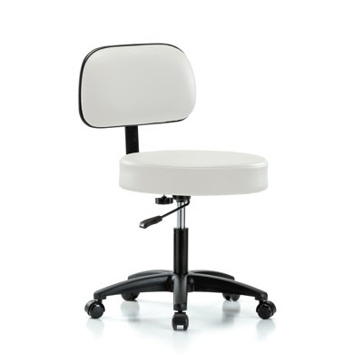 Lippencott PERCH Walter Height Adjustable Exam Stool with Backrest | Desk Height 18.5-24" by Orren Ellis