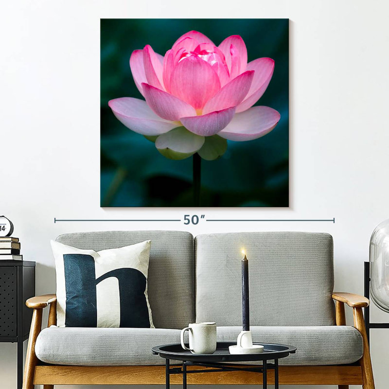 Harnek Delicate Lotus