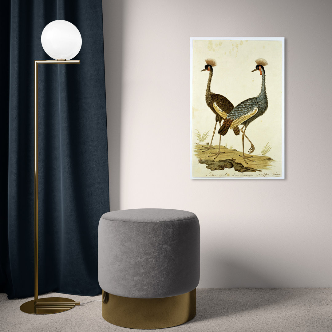 Animals " Animals Crowned Cranes Birds " by Oliver Gal Painting Print Oliver Gal Prints