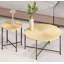 Ensemble de table basse et de table de bout 2 pièces Radial