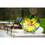Bain d’oiseaux hibiscus art nouveau