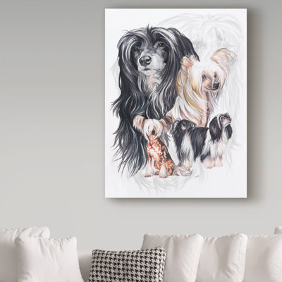 Adelphi 'Chinese Crested Dog' Photographic Print on Wrapped Canvas