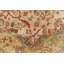 Aryana Wool Oriental Area Rug