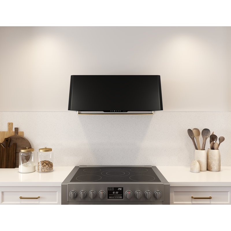 Zephyr Mesa 48 in. Wall Mount Range Hood with LED Lights, Black