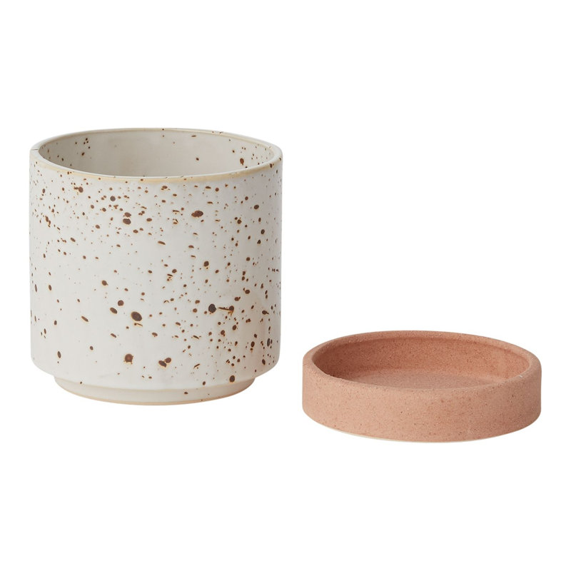 Pot à fleurs en céramique Kaesha, H 5,25 po x l 5 po x P 5 po