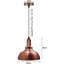 1 - Light Dome Pendant-284510275