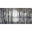 Parvez Taj - Wrapped Canvas Print-36705864
