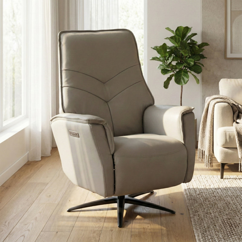 Makinlie 76cm Wide Swivel Standard Recliner, Moon