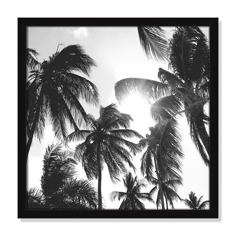 Palmiers des Caraïbes - reproduction de cadre photo, Cadre noir, L 17 po x H 17 po