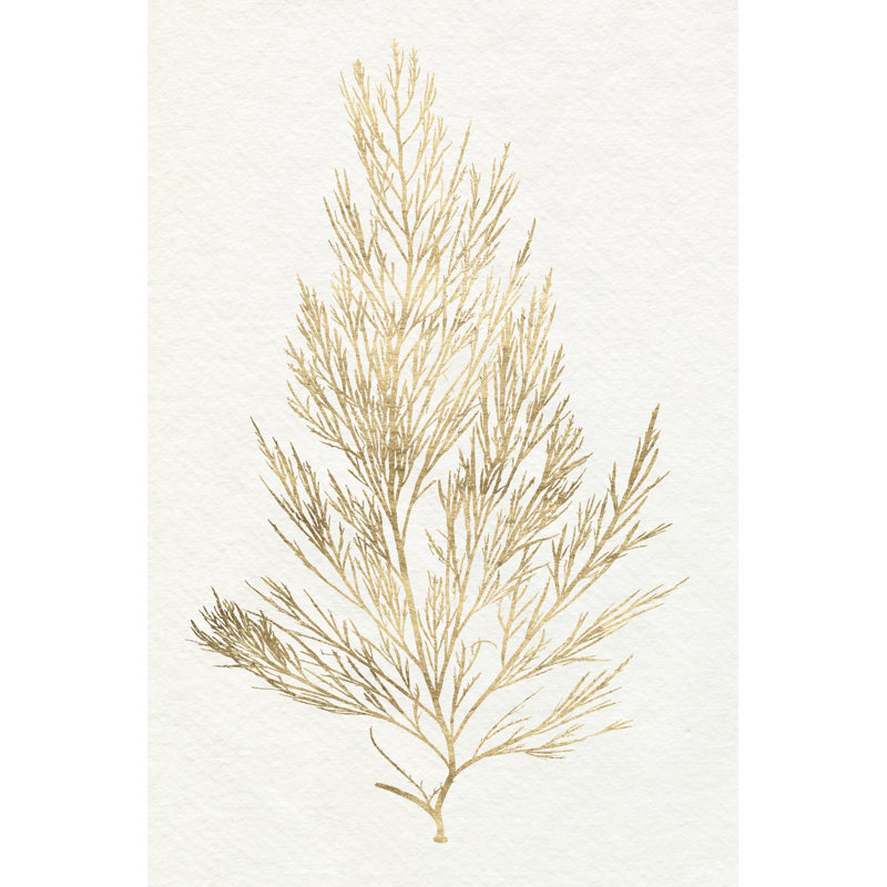 Gilded Algae V - Wrapped Canvas Painting, 76 cm H x 51 cm W, Wrapped Canvas