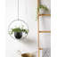 Pot à fleurs suspendu pour plantes d'intérieur et d'extérieur en métal style Mid-Century mural minimaliste, support à panier à fleurs suspendu (noir)