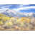 Wrapped Canvas selected