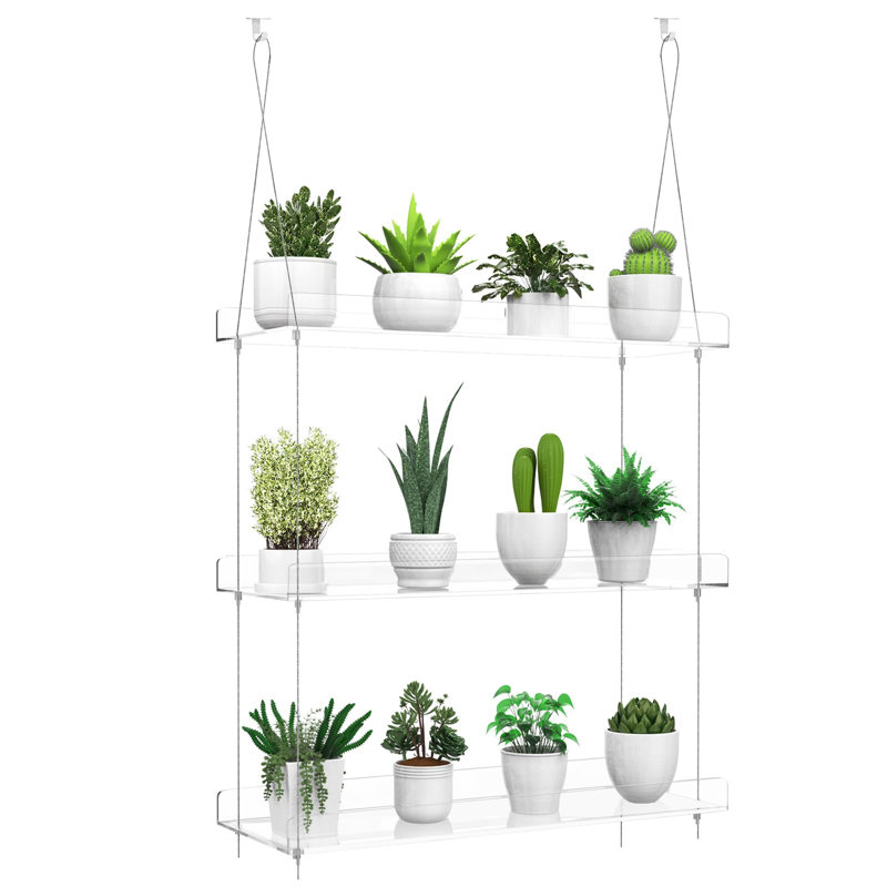 Damontez Plant Stand