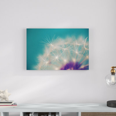 " Dandelion Puffs " by Sylvia Cook