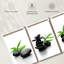 Impression sur toile Spa Stones-92763299