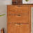 French style creative shoe cabinet-1933292726