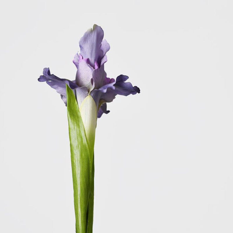 Fleur d'iris artificielle Audet Mauve (paquet de 1 branche)