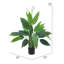 Plante artificielle en pot