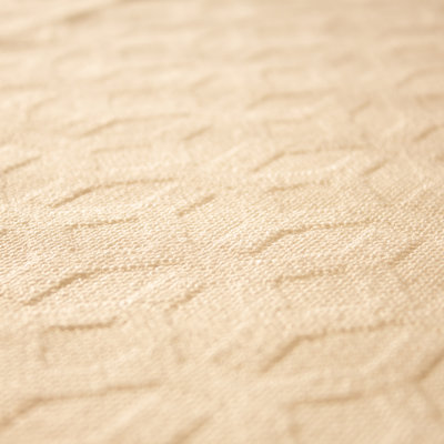 Winner’s Circle II Fabric