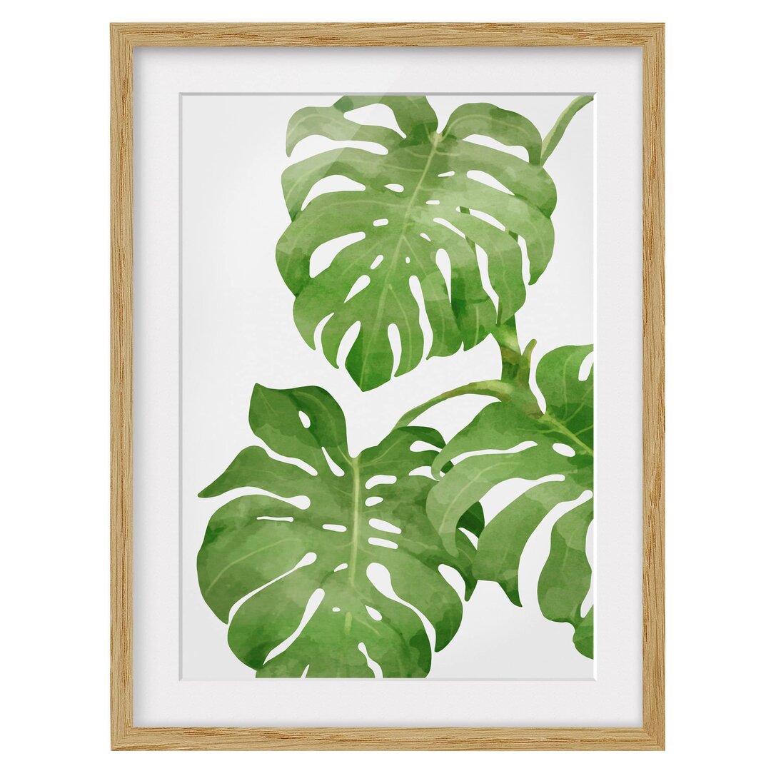 Gerahmtes Poster Monstera Watercolour