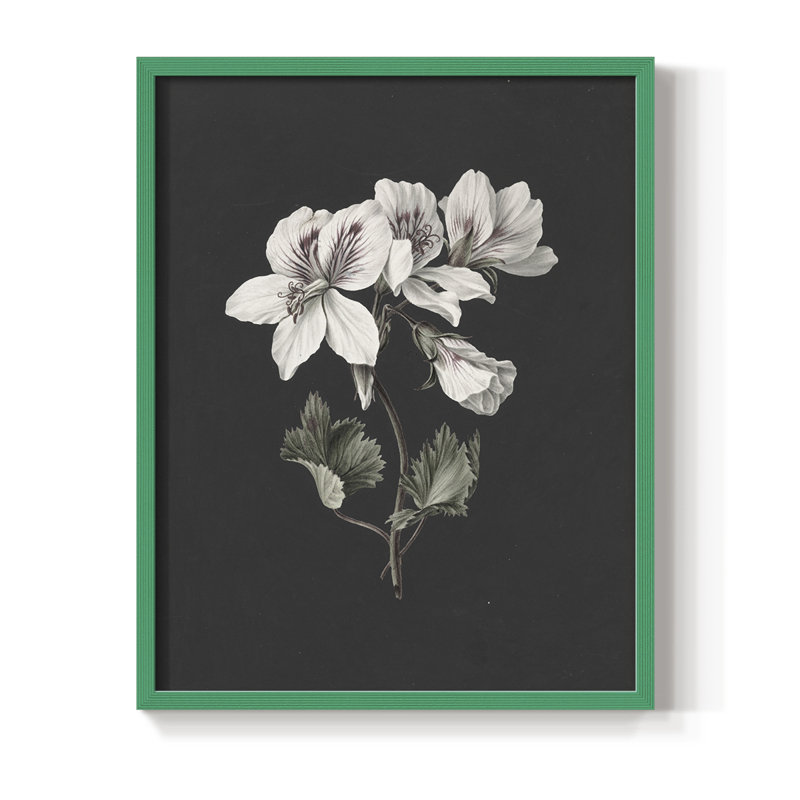 Impression florale vintage encadrée CLII - bois massif, Vert, H 11 po x l 9 po