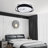 20in Ceiling Fan with Light