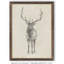 « elk study » par paul cezanne-photo-cadre, reproduction d’art-24364736-24364750