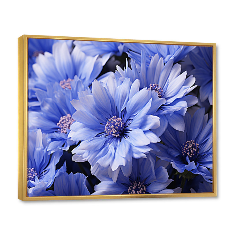 Cornflowers Field II, reproduction d'art sur toile, H 34 po x l 44 po x P 1,5 po, Cadre flottant doré