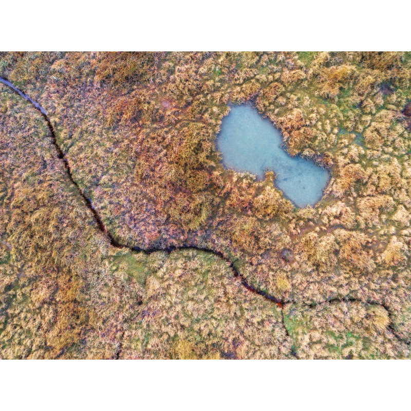 Abstract Aerial Landscape VIII Print by Frank Peters, 25" H x 33" W x 2" D, Black Framed Canvas, No Mat