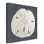 «Shell on Slate II» par Megan Meagher - reproduction d'art sur toile-370592374