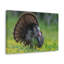 No Frame Print on Canvas-1261388951