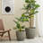 Pot Planter