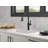 Renaldi Pull Down ProClean Sprayer Kitchen Sink Faucet, Single Handle Kitchen Faucet-101126194